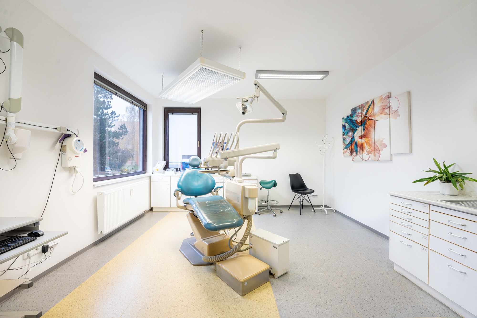 Dental Smile s.r.o.